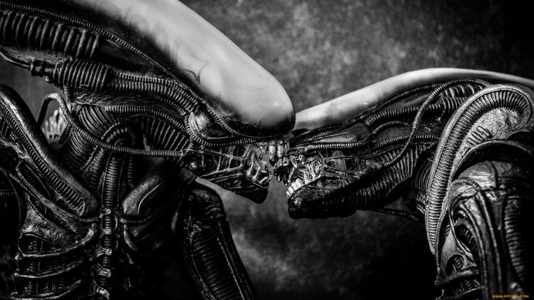 Xenomorph, Monochrome, Creature, Aliens HD Wallpaper Desktop Background