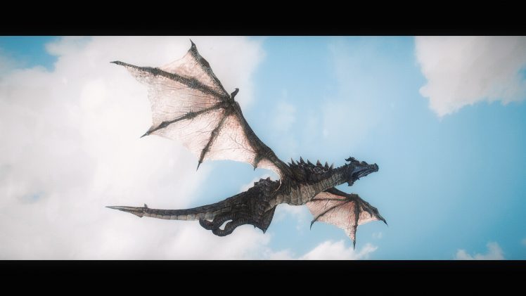 The Elder Scrolls V: Skyrim, Dragon, Wyvern, Video games HD Wallpaper Desktop Background