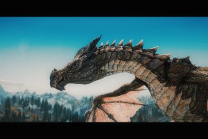 The Elder Scrolls V: Skyrim, Dragon, Wyvern, Video games
