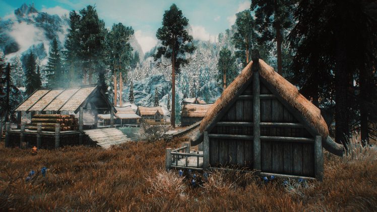 The Elder Scrolls V: Skyrim, Villages, Video games, Screen shot HD Wallpaper Desktop Background