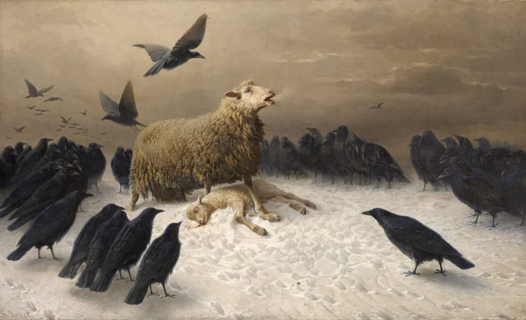 August Schenck, Classical art, Classic art, Sheep, Crow HD Wallpaper Desktop Background