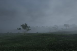video games, Mist, Trees, Grass