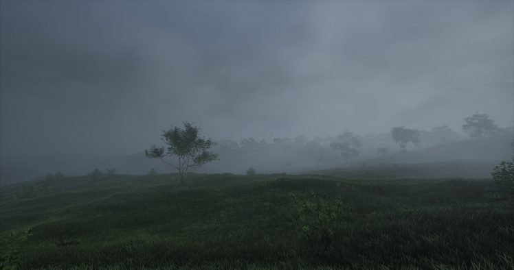 video games, Mist, Trees, Grass HD Wallpaper Desktop Background