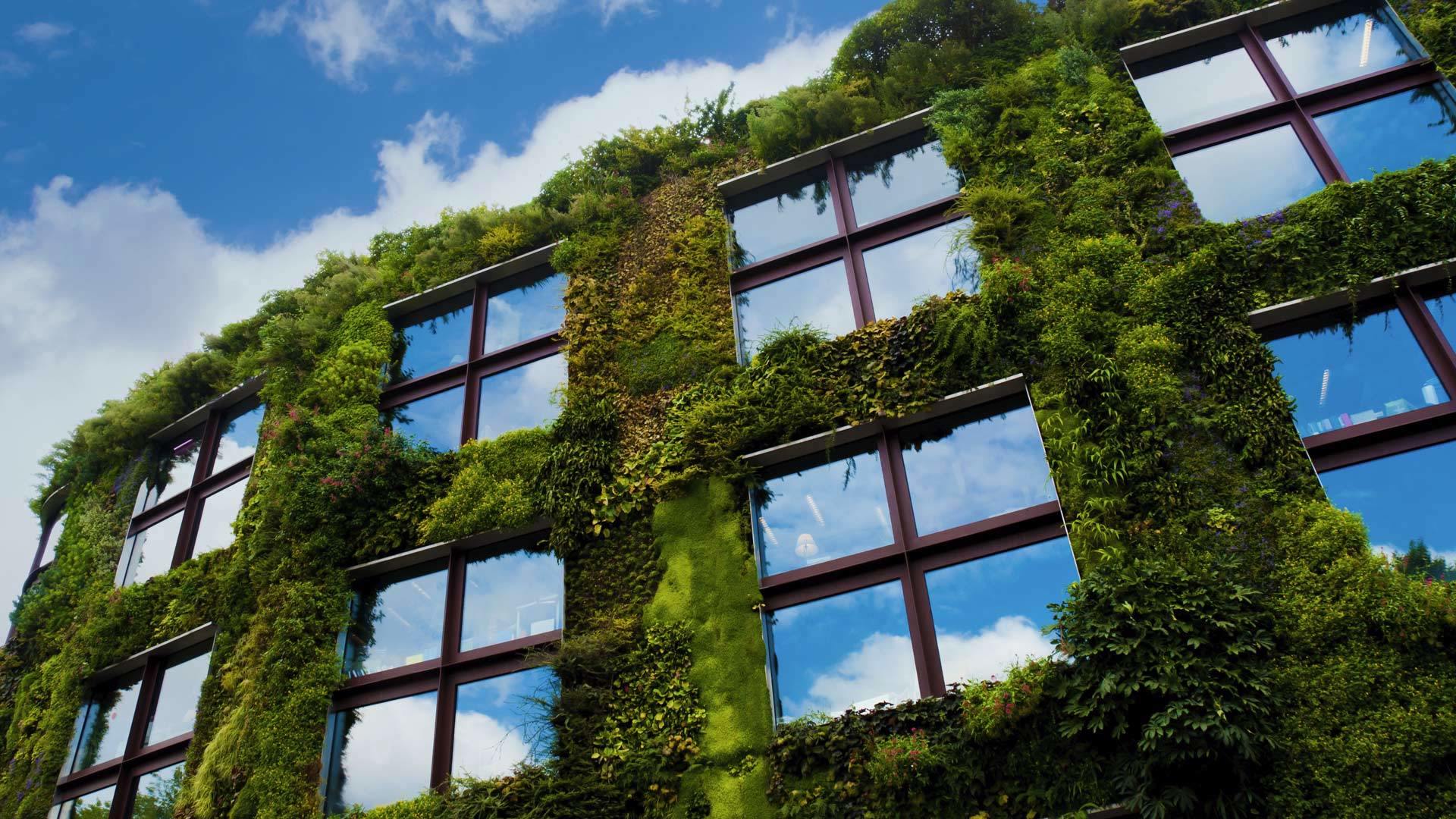 window, Building, Reflection Wallpaper