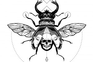 skull, Illustration, Bug