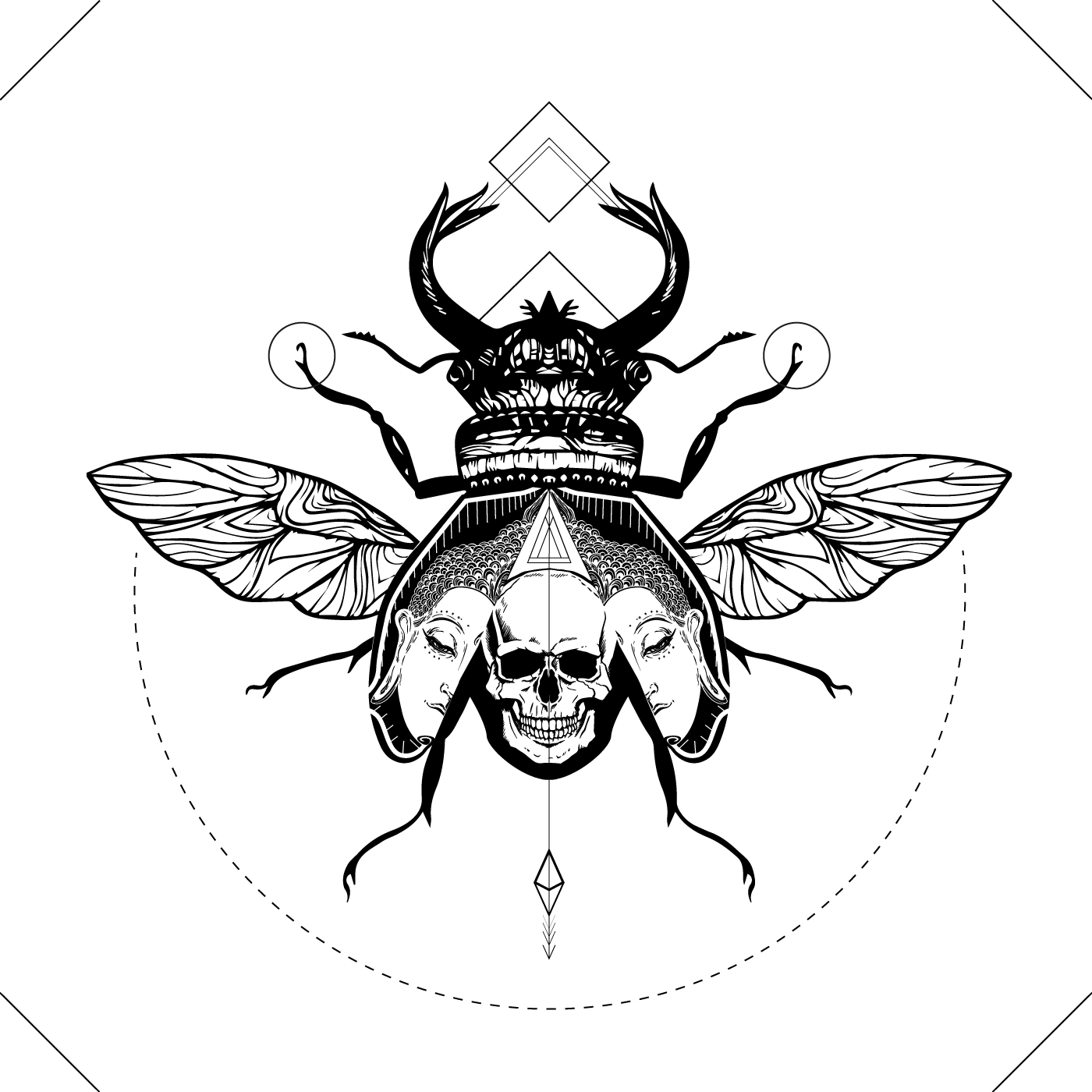 skull, Illustration, Bug Wallpaper