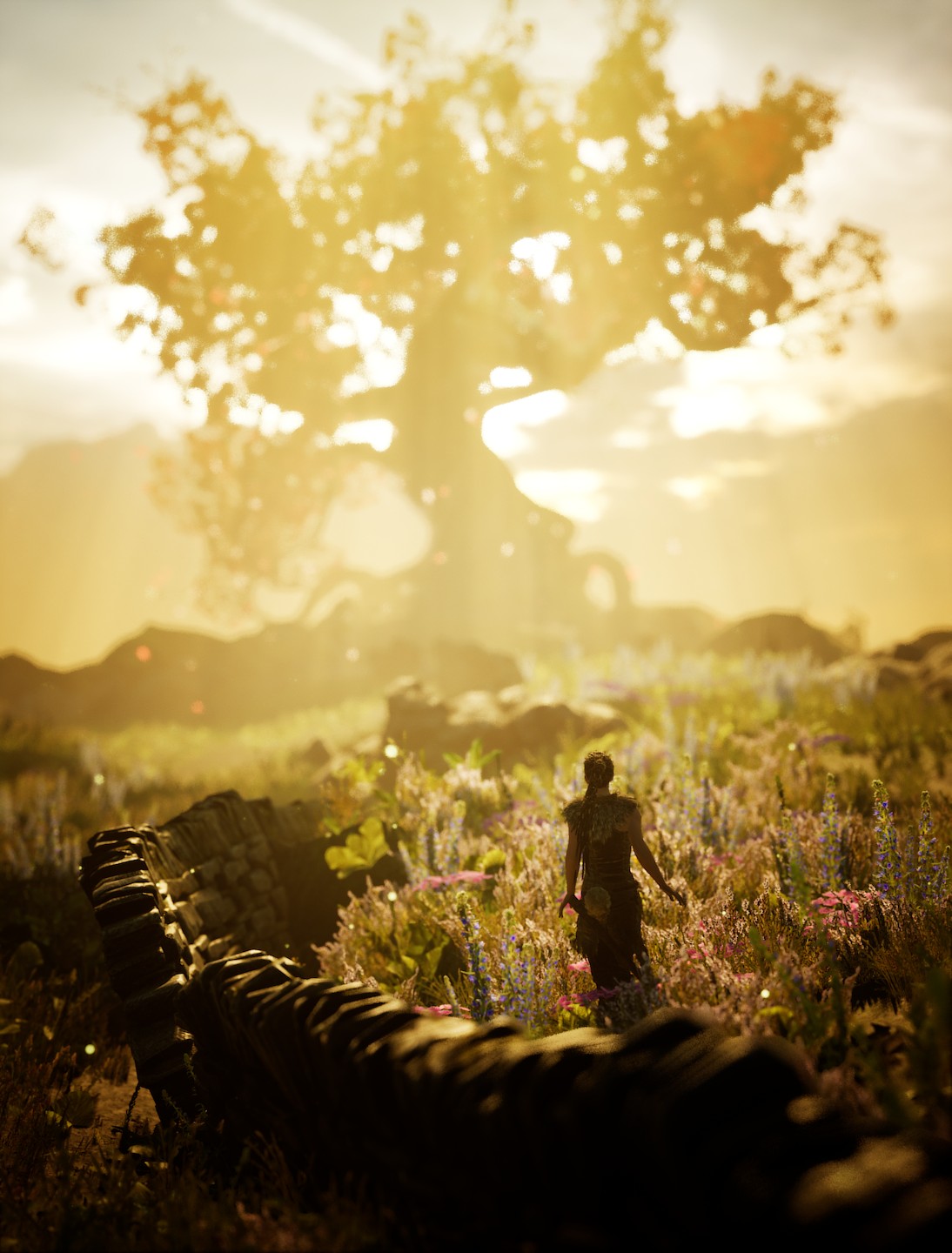 Hellblade, Video games, PlayStation 4, Consoles, Depth of field Wallpaper