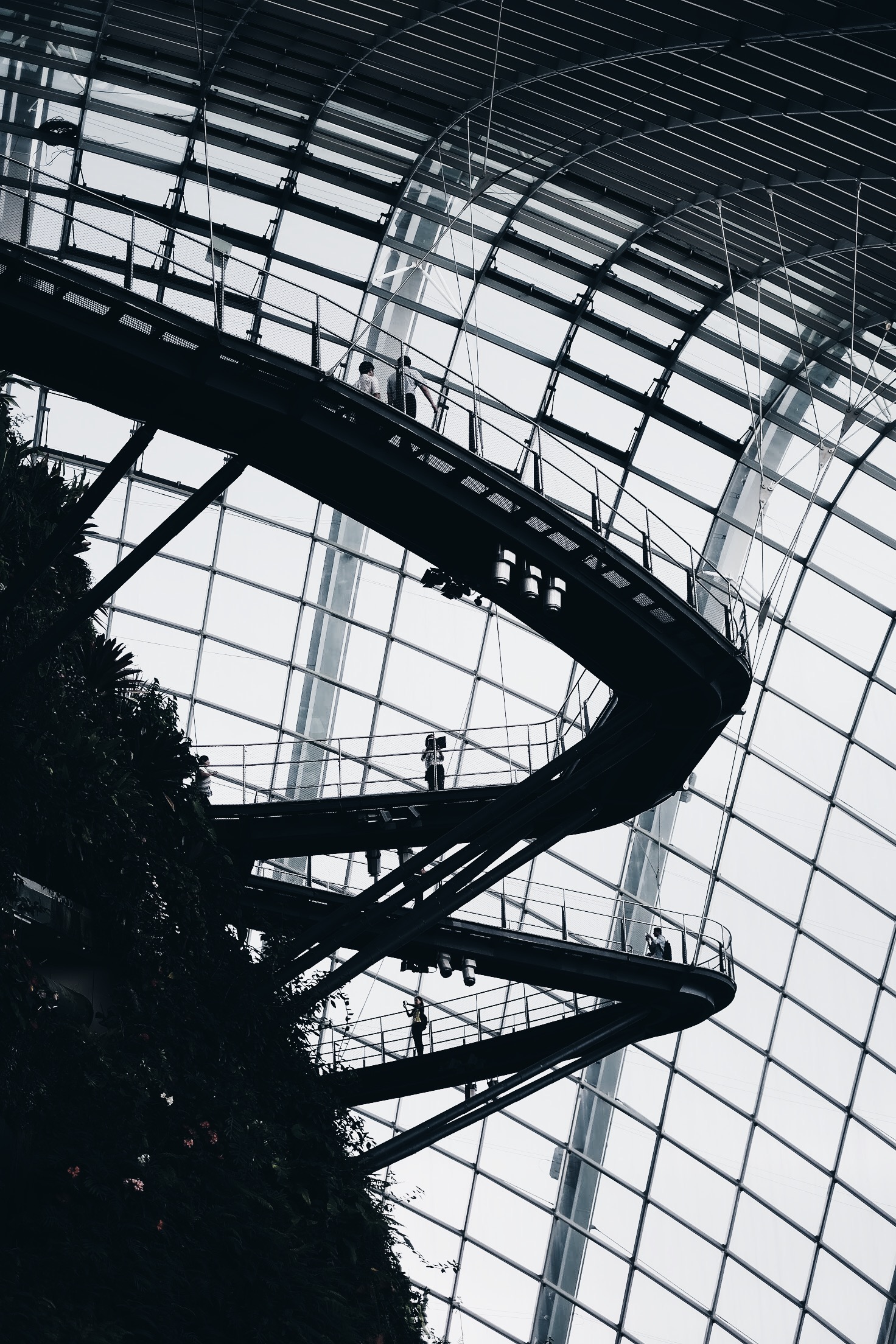 Processed With VSCO With Hb1 Preset Wallpaper