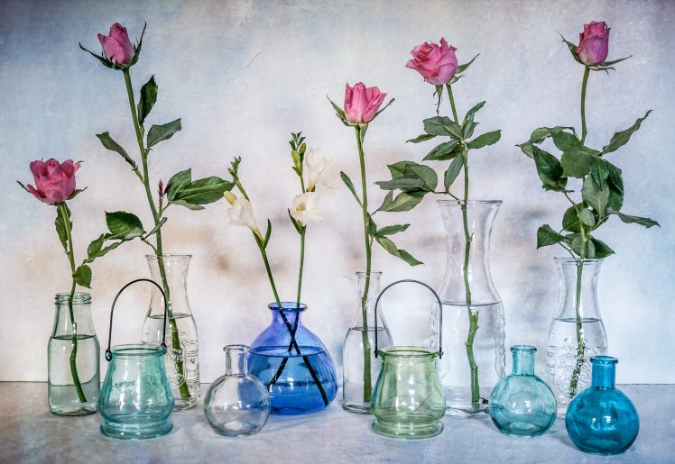still life, Vases, Flowers HD Wallpaper Desktop Background