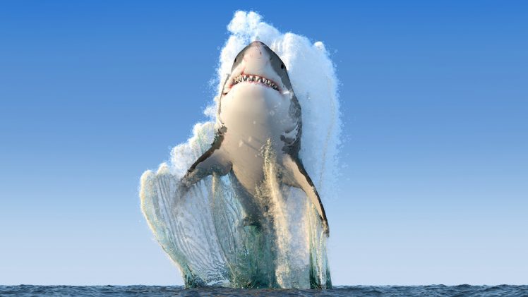 animals, Sea, Shark, Jumping, Fangs, Horizon, Clear sky, Render, Digital art HD Wallpaper Desktop Background