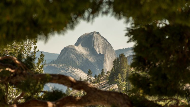 Half Dome, Yosemite National Park HD Wallpaper Desktop Background