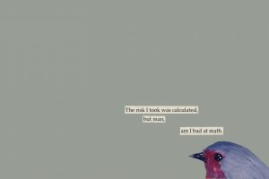text, Mathematics, Birds, Humor