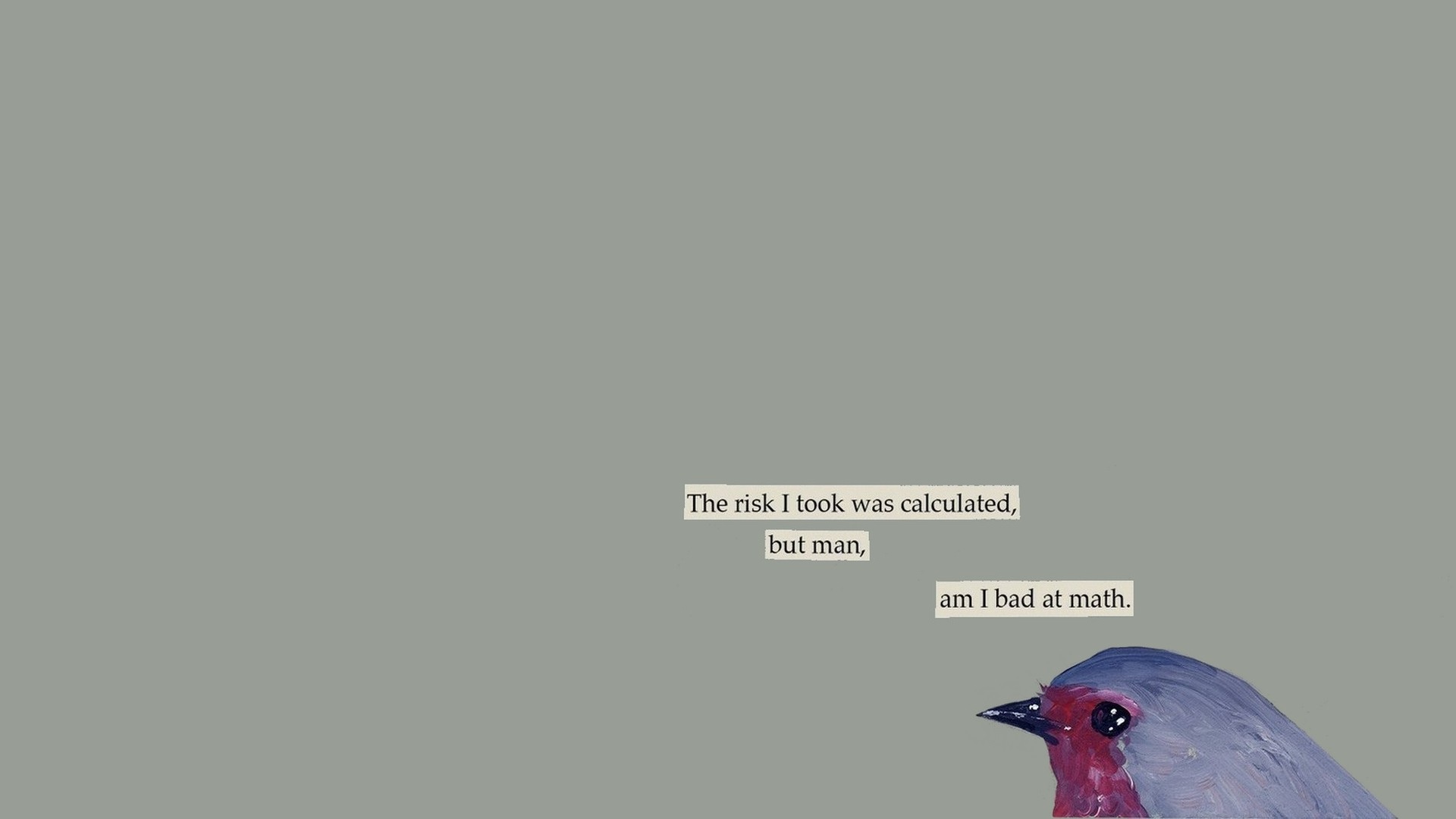 text, Mathematics, Birds, Humor Wallpaper