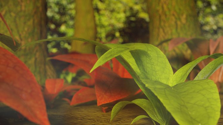 nature, Plants HD Wallpaper Desktop Background