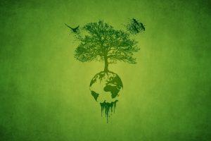 trees, Nature, Green, Birds, Planet, Africa, Artwork, Drawing, Minimalism, Plants, Wood, Branch, Europe