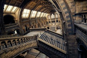 London, Museum, Building, Museum of Natural History, Interior, Arch, Stairs