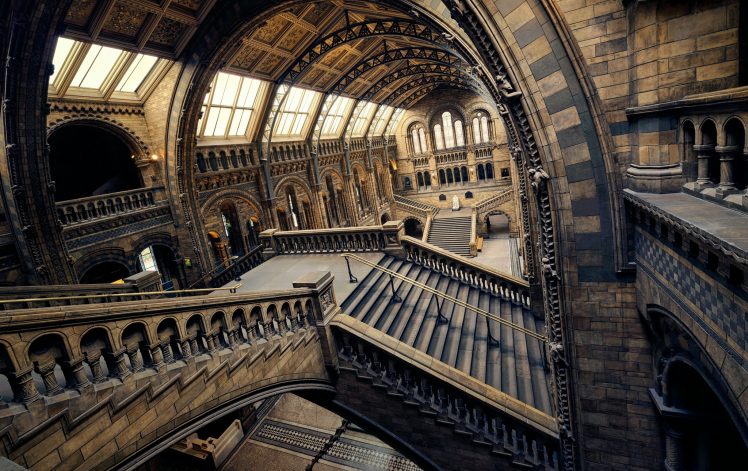 London, Museum, Building, Museum of Natural History, Interior, Arch, Stairs HD Wallpaper Desktop Background
