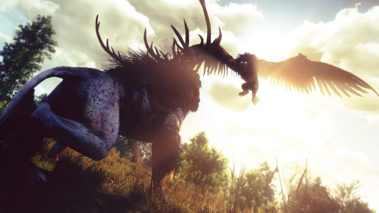 The Witcher 3: Wild Hunt, Griffins HD Wallpaper Desktop Background