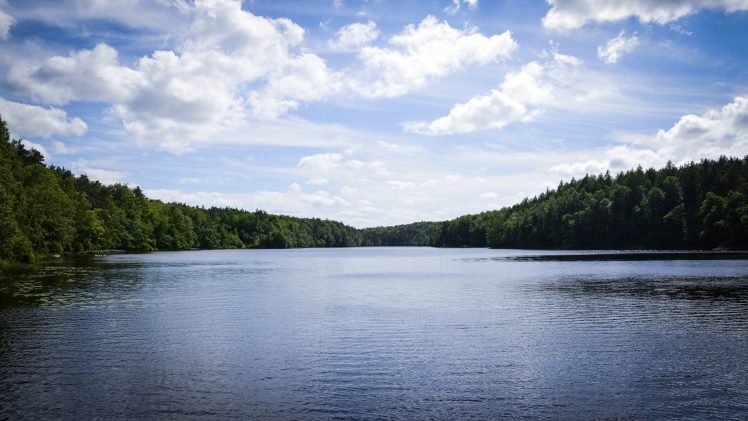 landscape, Lake, Water, Forest HD Wallpaper Desktop Background