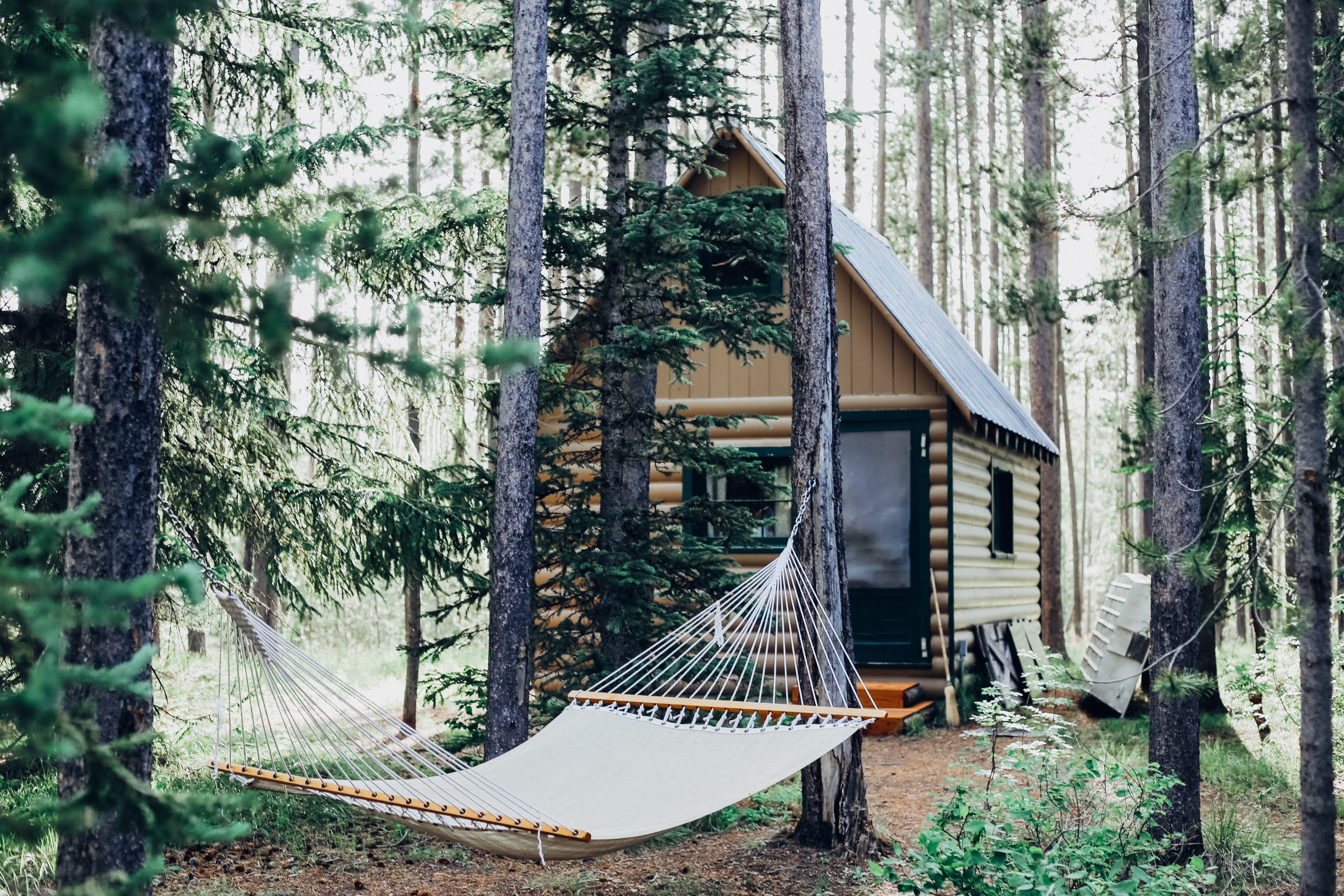 cabin, Hammocks, Forest Wallpaper