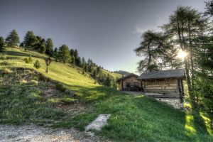 cabin, Forest, Dwelling, HDR
