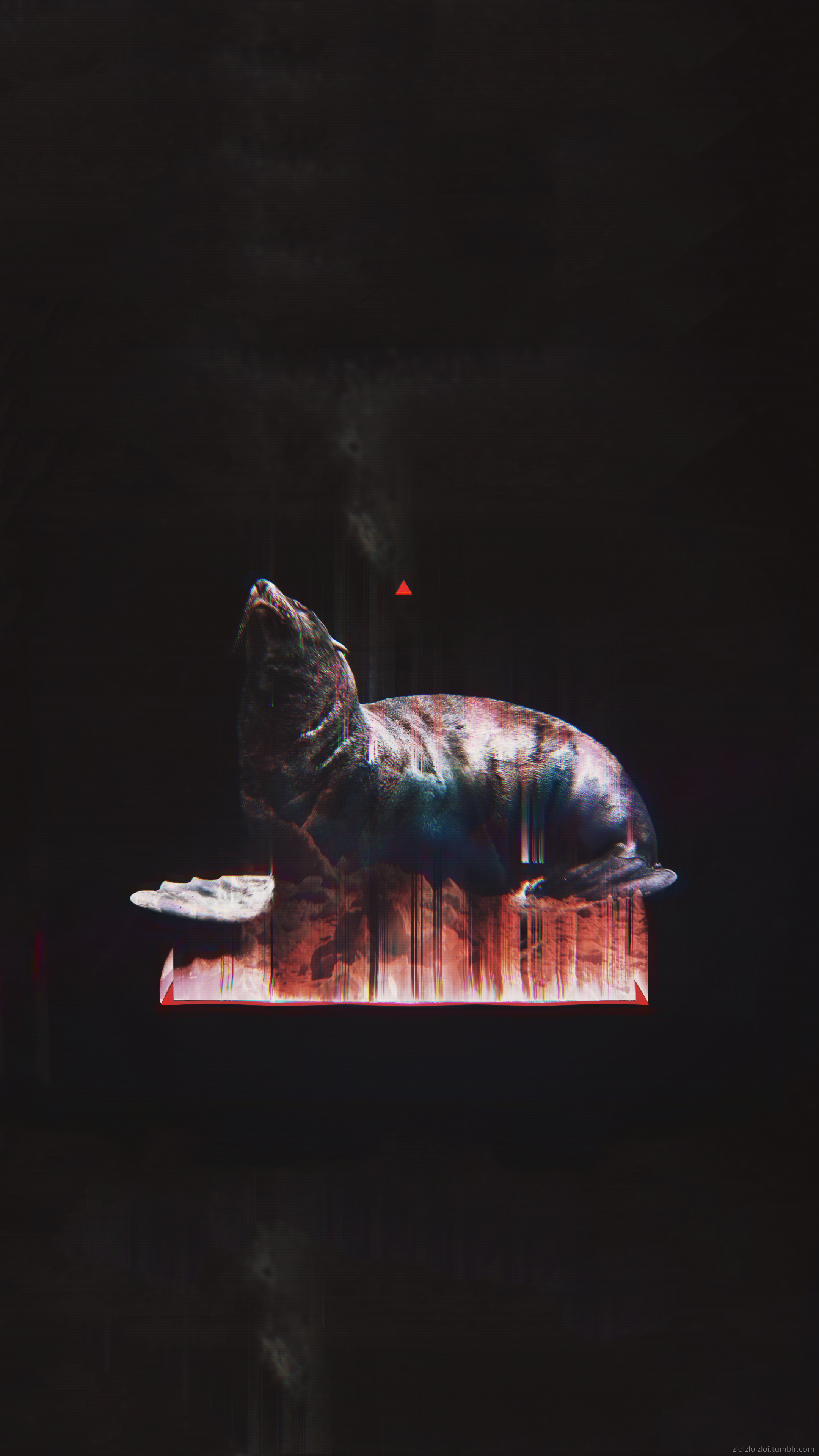 glitch art, Abstract, Black, Animals, Seals Wallpaper
