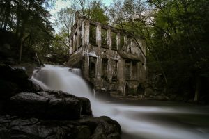 ruin, House, Abandoned