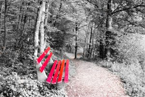 nature, Bench, Selective coloring