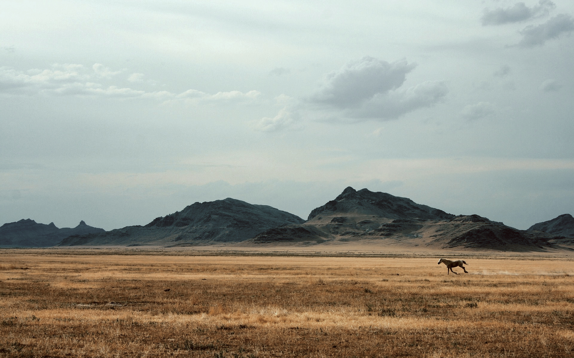 horse, Mountains, Sky, Field Wallpaper