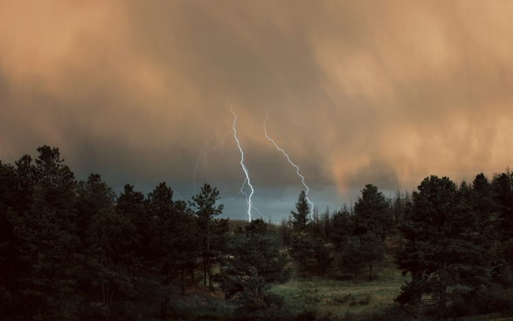 lightning, Clouds, Forest, Trees, Water HD Wallpaper Desktop Background