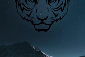 space, Mountains, Tiger