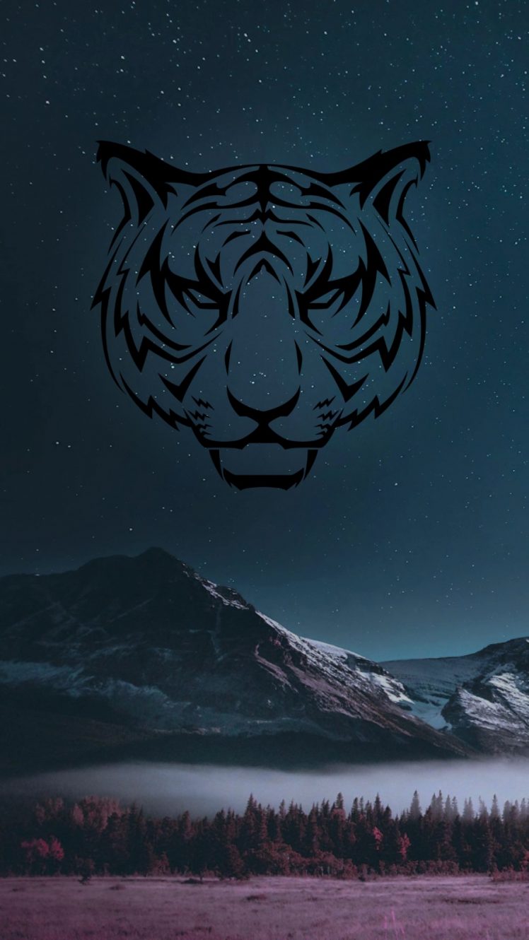 space, Mountains, Tiger HD Wallpaper Desktop Background