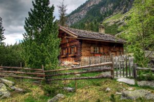 cabin, Forest, Dwelling, HDR