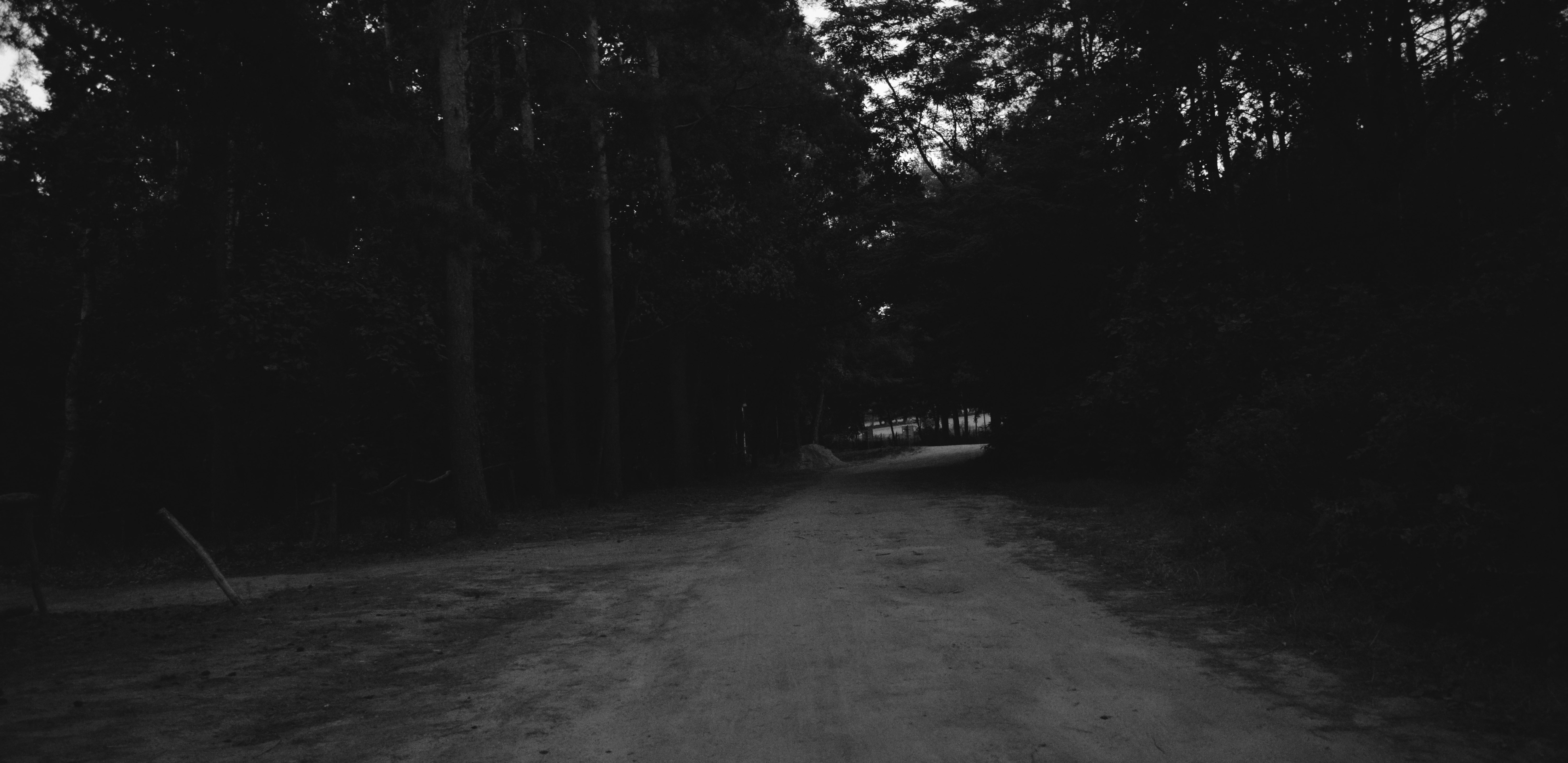 road, Hills, Forest, Rock, Photography Wallpaper