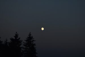 Moon, Moonlight, Sunset, Sky