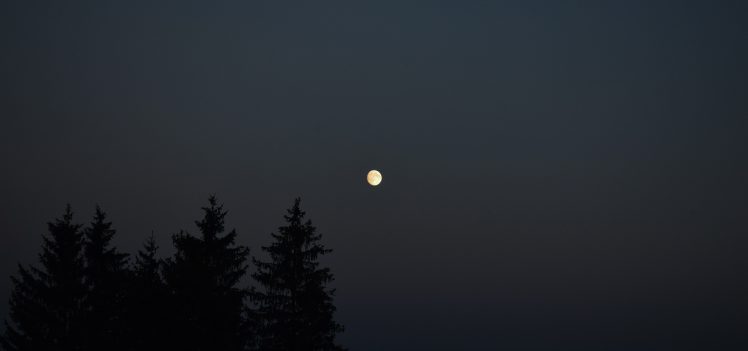 Moon, Moonlight, Sunset, Sky HD Wallpaper Desktop Background