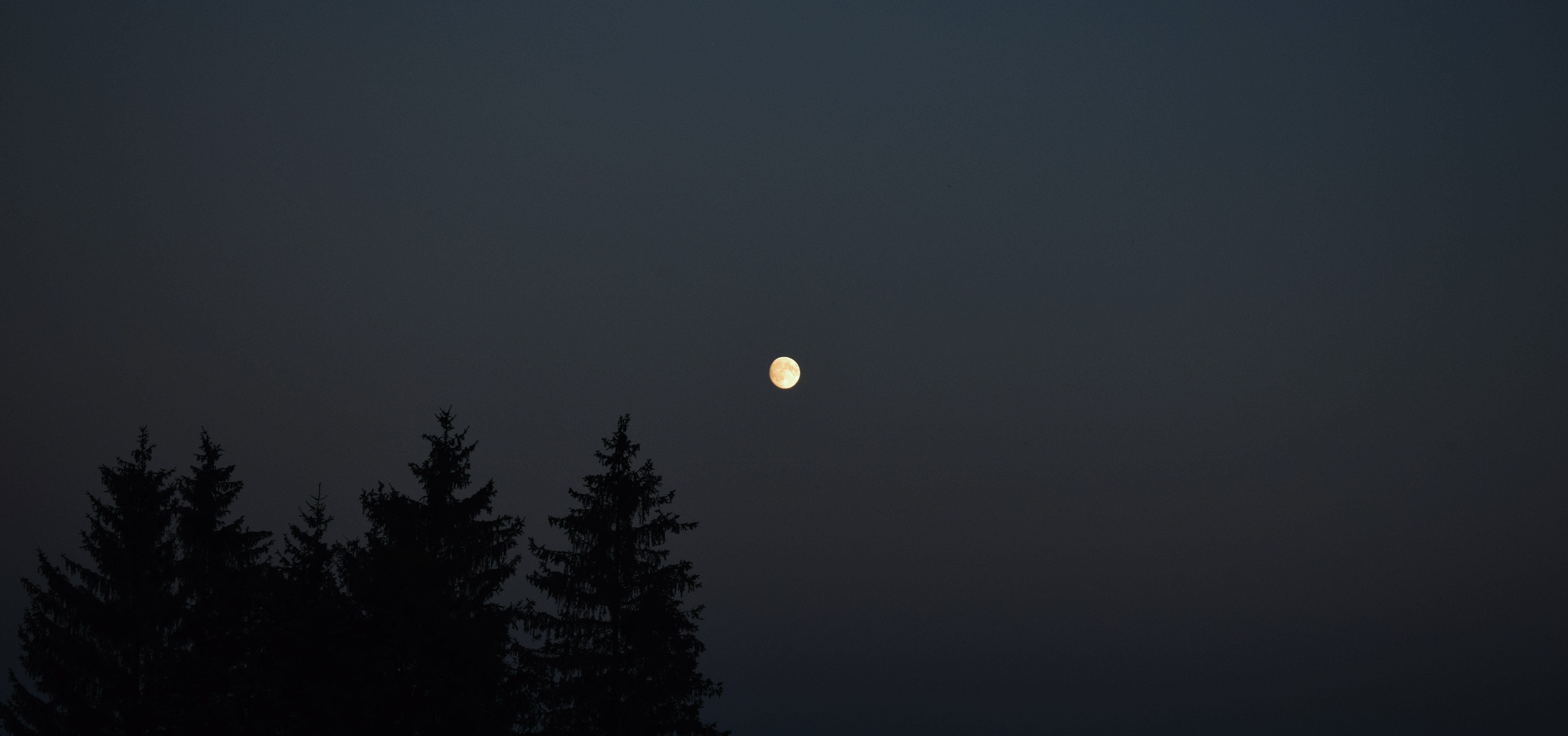 Moon, Moonlight, Sunset, Sky Wallpaper