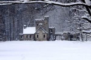 castle, Snow, Trees