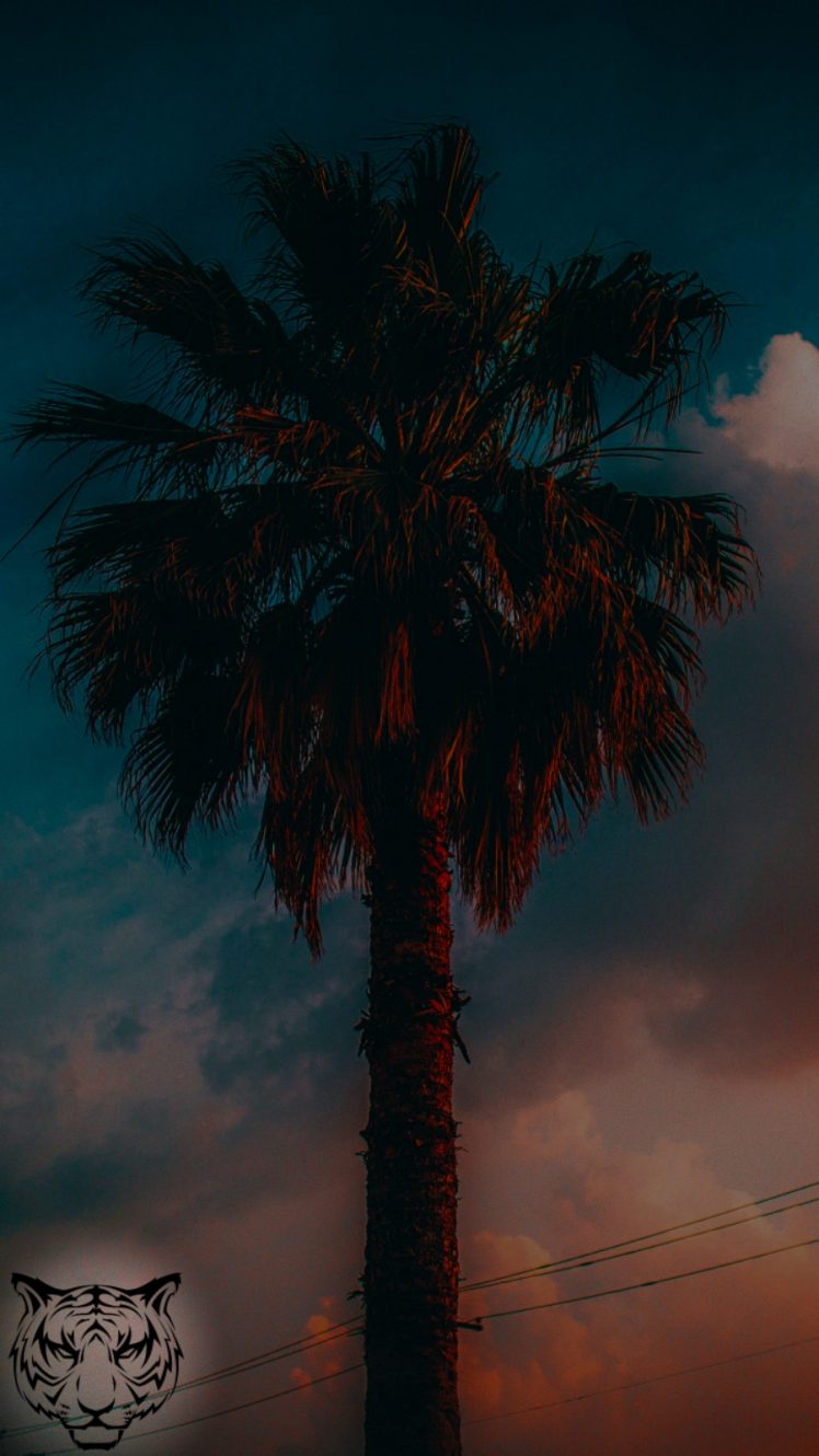 logotype, Graphic design, Landscape HD Wallpaper Desktop Background