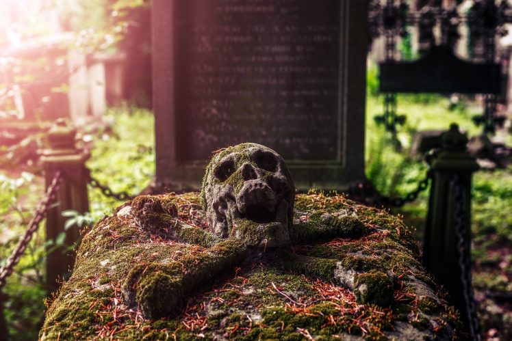 graveyards, Grave, Skull HD Wallpaper Desktop Background