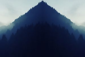 Aorus, Landscape, Forest, Eagle, Simple, Dual monitors
