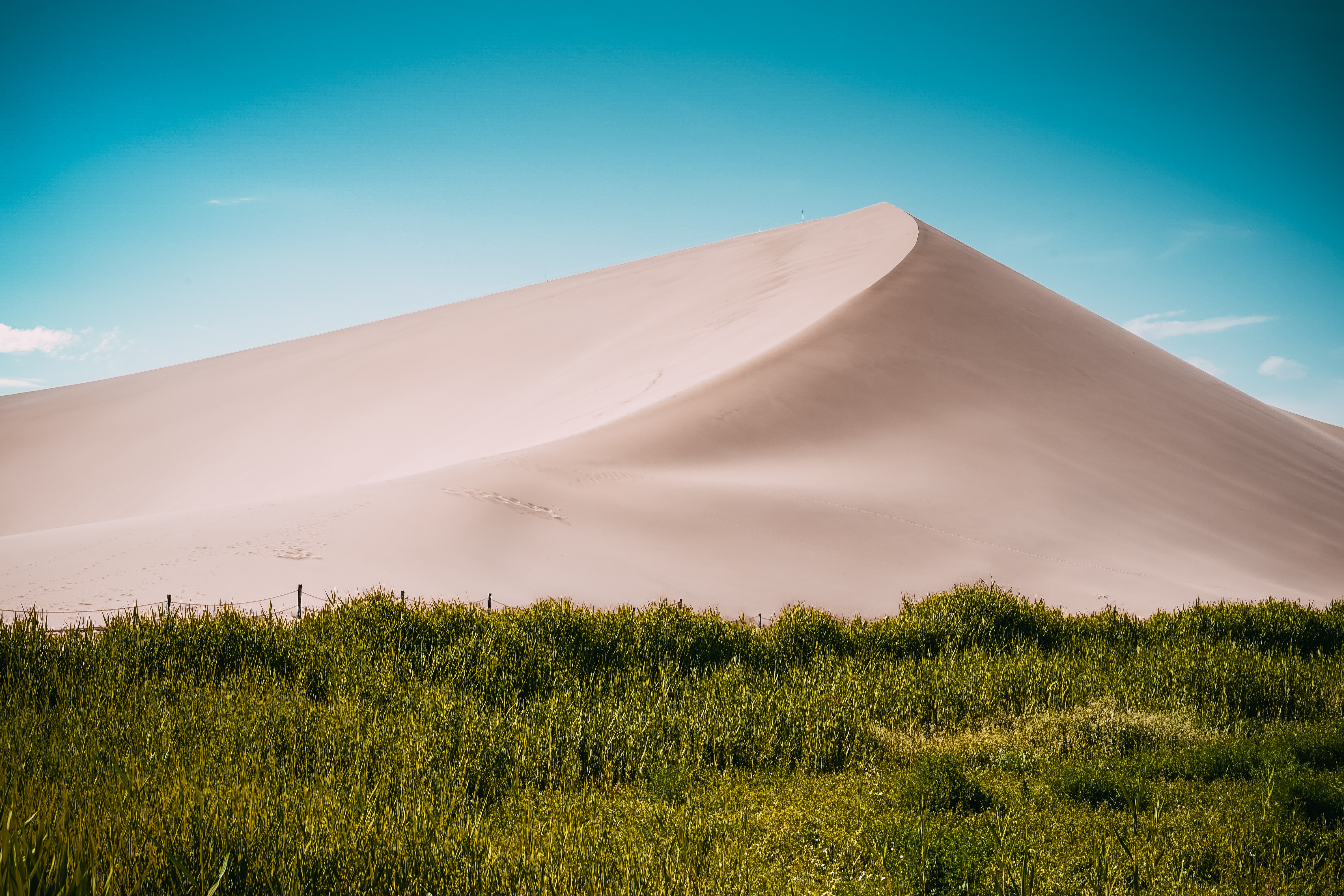 sand, Nature, Landscape, Plants, Grass, Dune Wallpaper