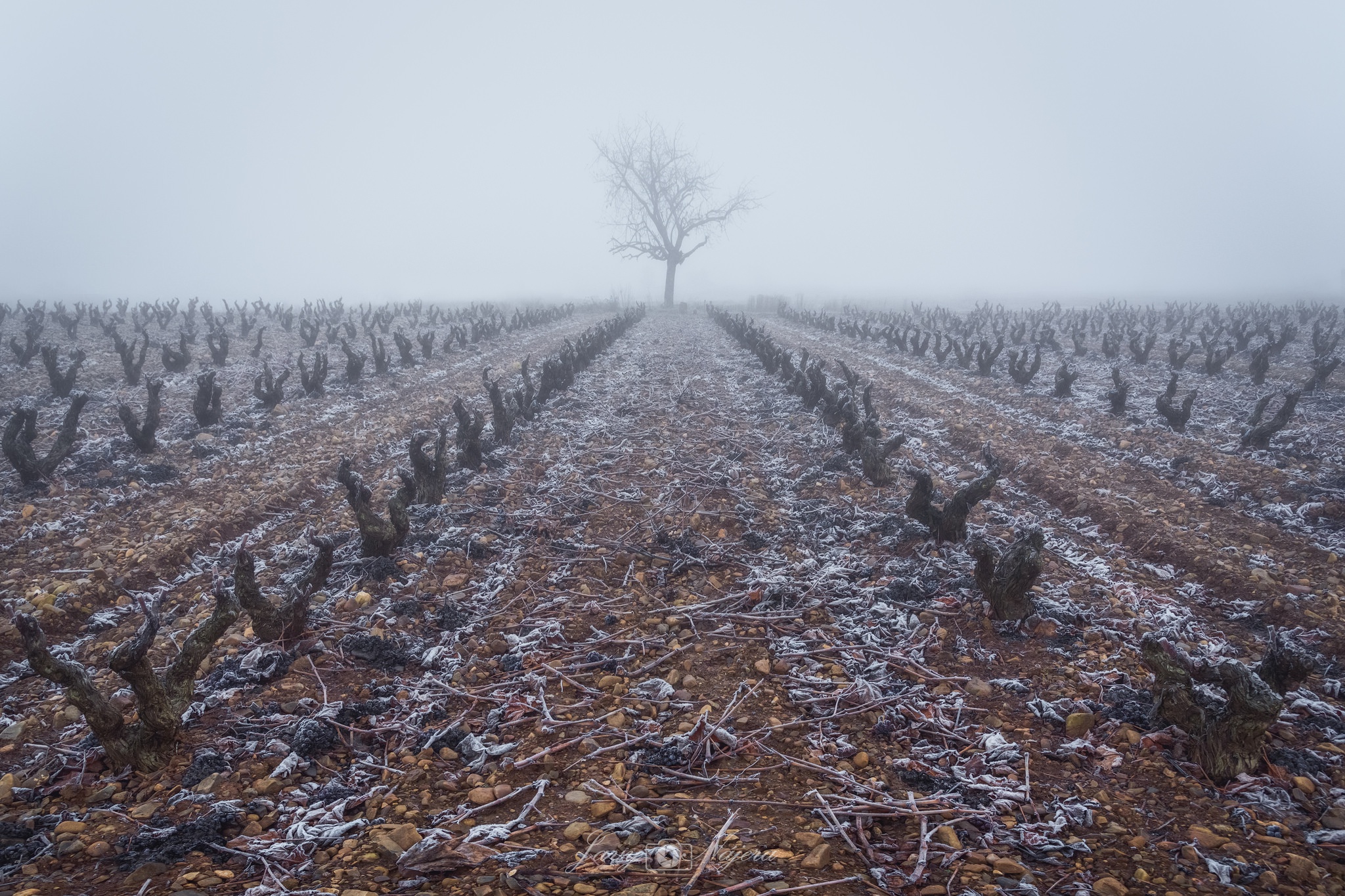 field, Mist, Landscape Wallpaper