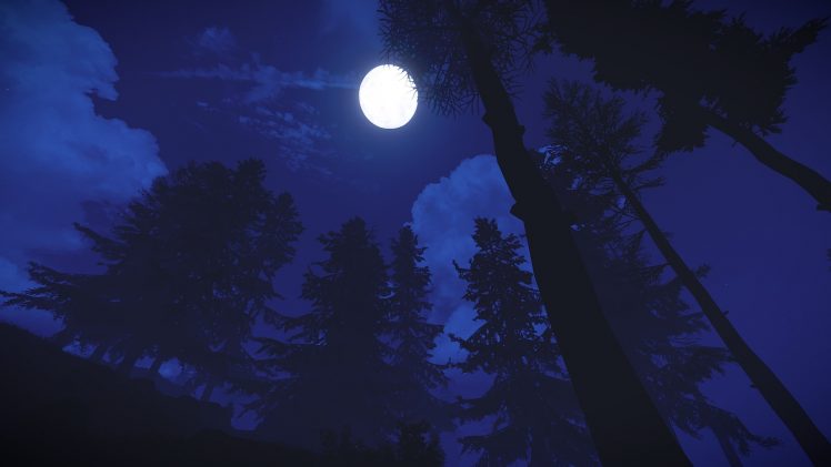 rust, Video games, Moon, Night, Trees HD Wallpaper Desktop Background