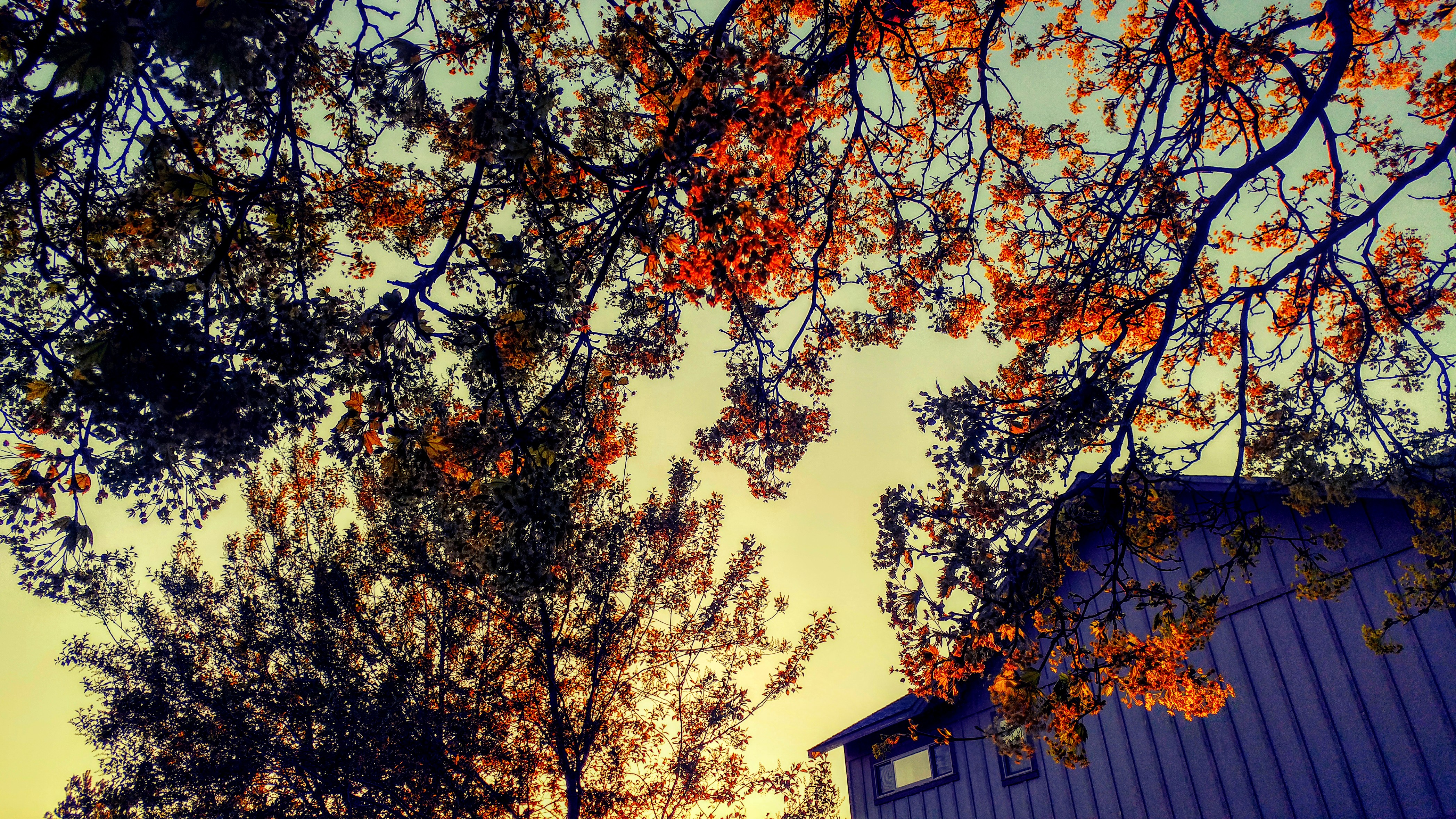 landscape, Photography Wallpaper