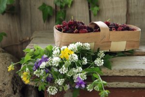 basket, Flowers, Fruit, Plants, Still life