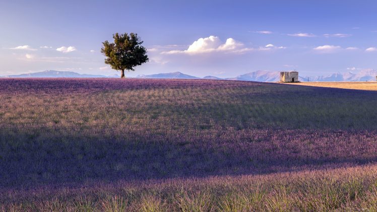 France, Provence, Landscape, Nature HD Wallpaper Desktop Background