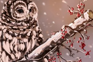 digital art, Owl