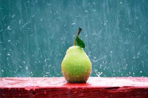 pears, Rain
