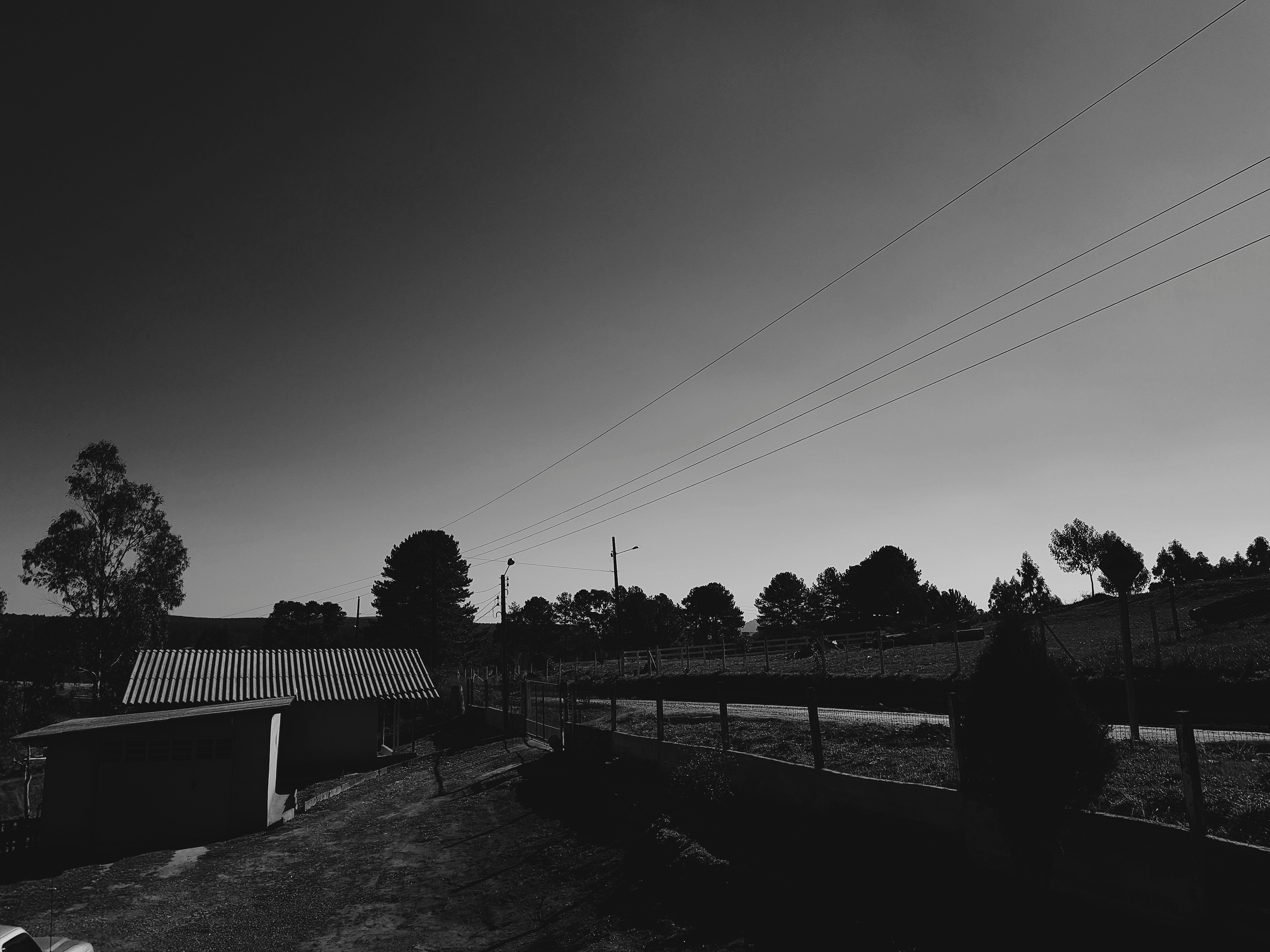 Processed With VSCO With B5 Preset Wallpaper